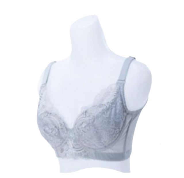 K Link K Perfect Vibration Bra 1